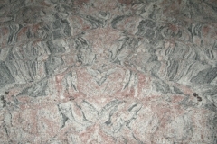 PAVI 023